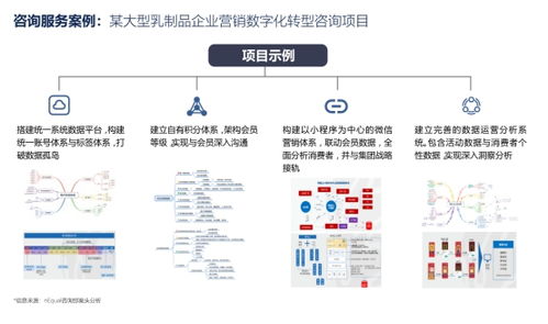 营销数字化转型 具有咨询能力的厂商,才能真正激发产品 技术的价值